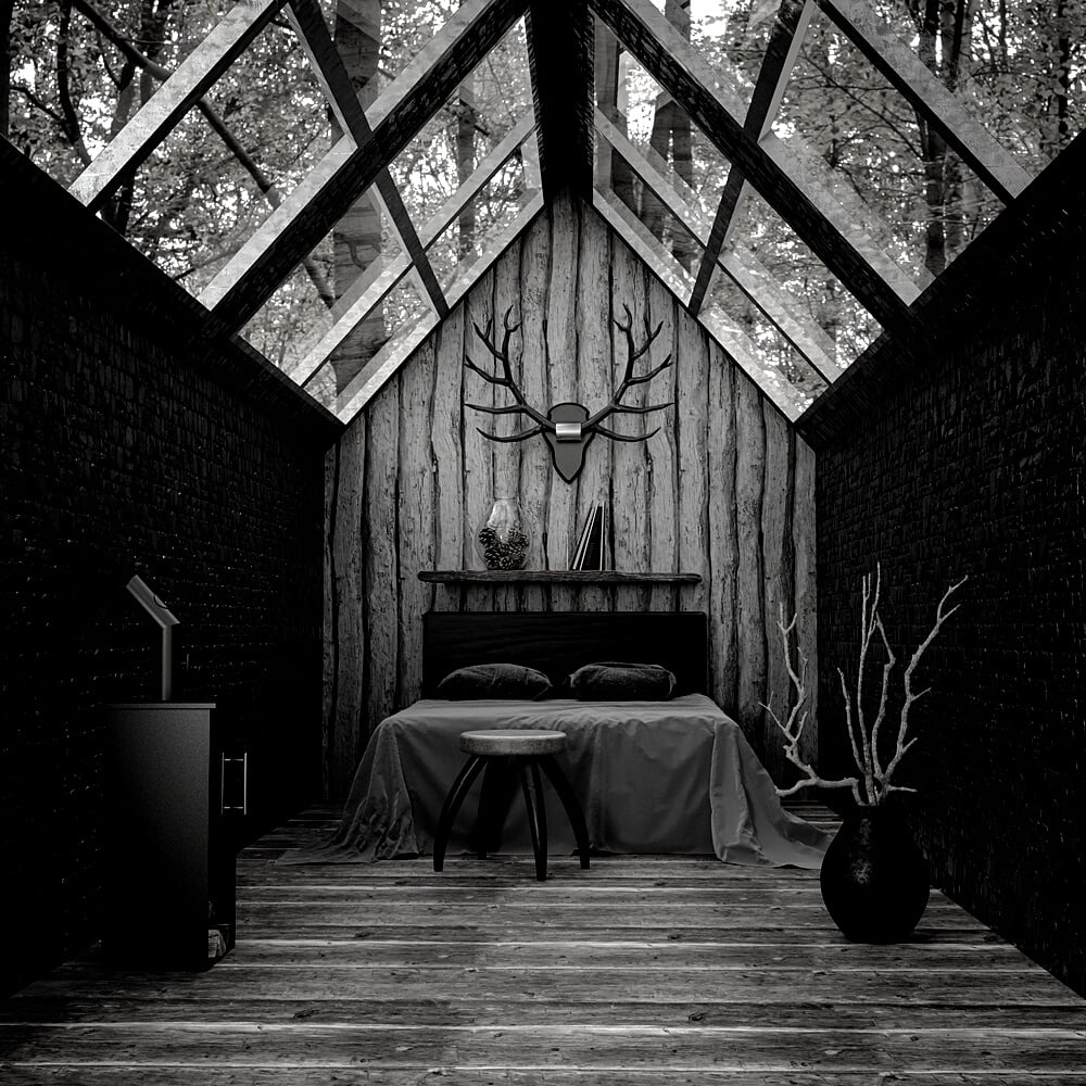 Black Cabin in the Woods 